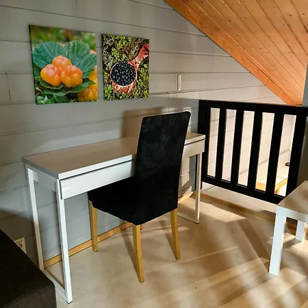 Vakantiehuis Halla-ukko 3 *