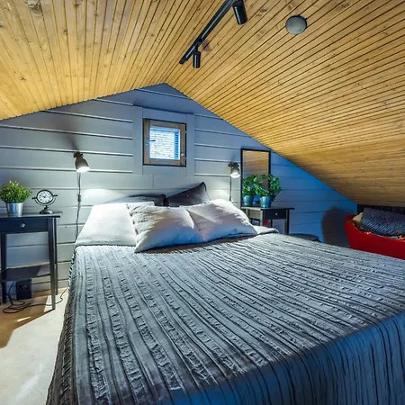 Vakantiehuis Halla-ukko 3 *