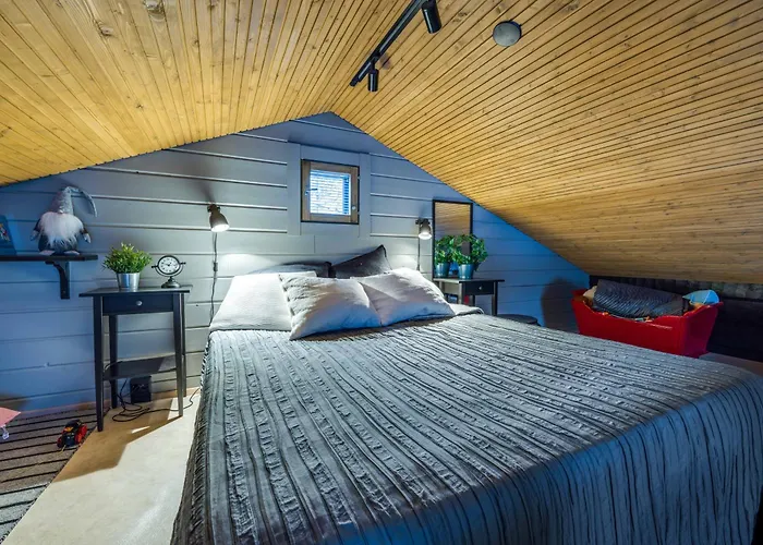 度假居 Halla-ukko 3 *